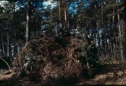 1974_b_1