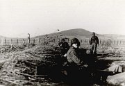 BorderPatrolMarch82_1