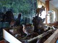 DSC00487