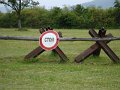 DSC00529