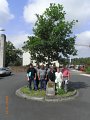 RIMG0599