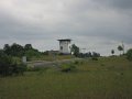 IMG0081_1