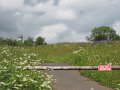 IMG0096_1