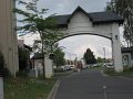 IMG0104_1