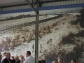 IMG0134_1