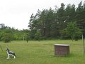 IMG0152_1